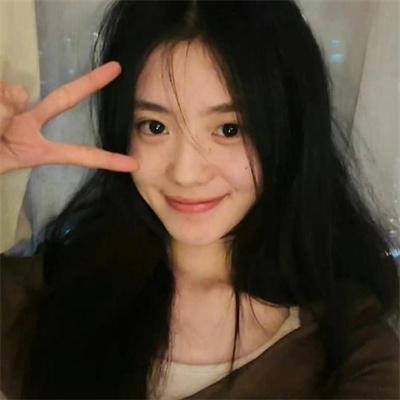 狗的生涯海报